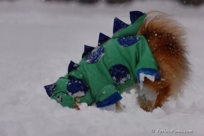 Feb1_08_090.jpg