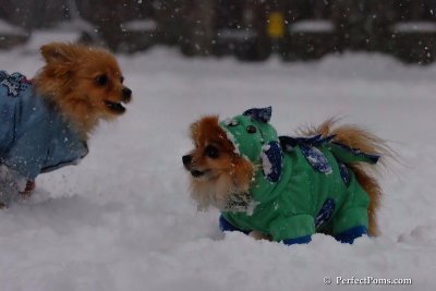 Feb1_08_093.jpg