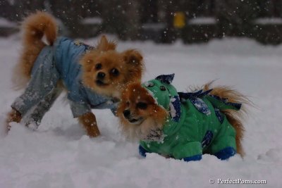 Feb1_08_094.jpg