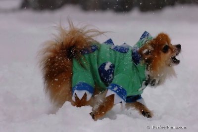 Feb1_08_097.jpg