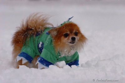 Feb1_08_099.jpg