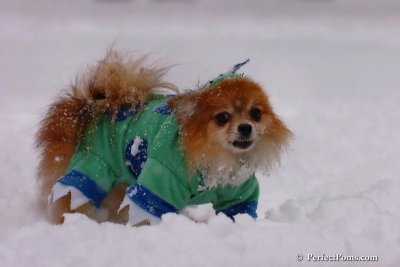Feb1_08_100.jpg