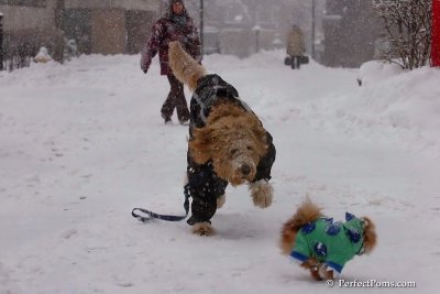 Feb1_08_103.jpg
