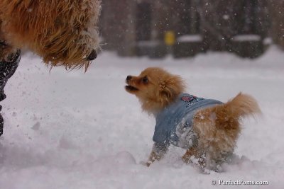 Feb1_08_112.jpg