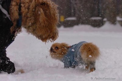 Feb1_08_114.jpg