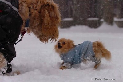 Feb1_08_115.jpg