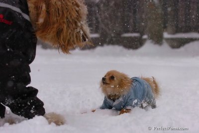 Feb1_08_117.jpg