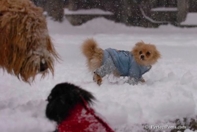 Feb1_08_119.jpg