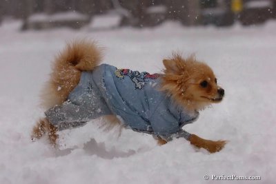 Feb1_08_125.jpg