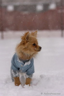 Feb1_08_127.JPG