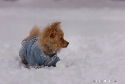 Feb1_08_128.jpg