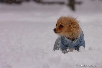 Feb1_08_131.jpg
