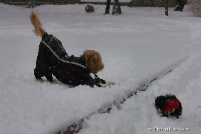 Feb1_08_138.jpg