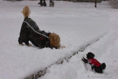 Feb1_08_139.jpg