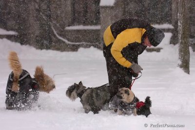 Feb1_08_141.jpg