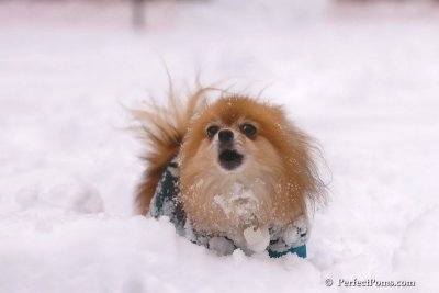 Feb2_08_427.jpg