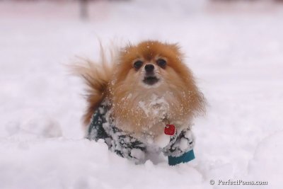 Feb2_08_428.jpg