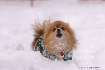 Feb2_08_429.jpg