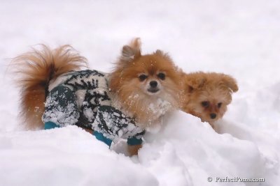 Feb2_08_432.jpg