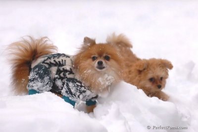 Feb2_08_433.jpg