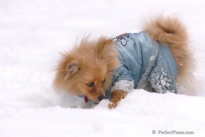 Feb2_08_438.jpg