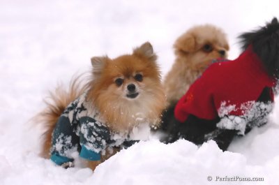 Feb2_08_439.JPG
