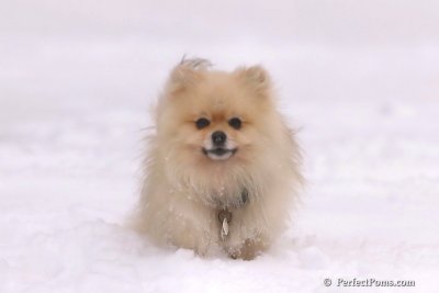 Feb2_08_441.jpg