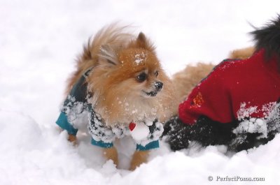 Feb2_08_445.JPG