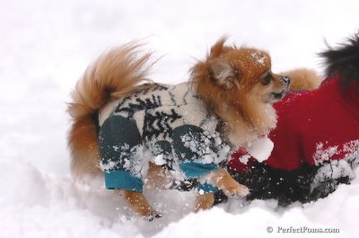 Feb2_08_446.JPG