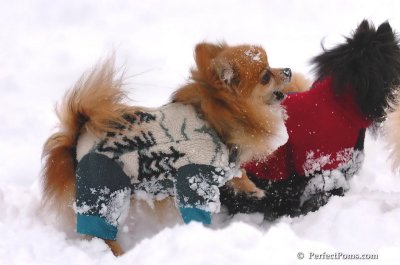Feb2_08_447.JPG