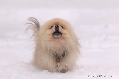Feb2_08_448.jpg