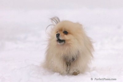 Feb2_08_450.jpg