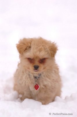Feb2_08_451.JPG