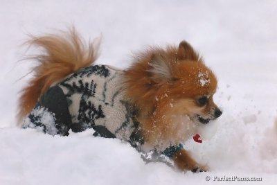 Feb2_08_454.jpg