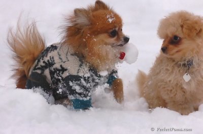 Feb2_08_455.JPG