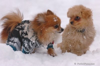 Feb2_08_456.JPG