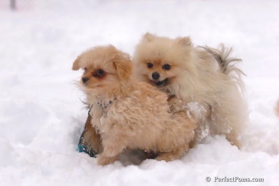Feb2_08_460.jpg