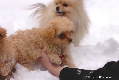 Feb2_08_464.jpg