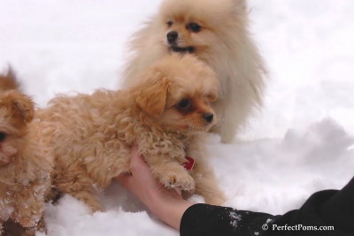 Feb2_08_465.jpg