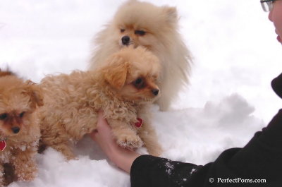 Feb2_08_466.JPG