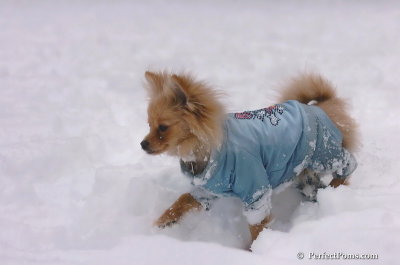 Feb2_08_478.JPG