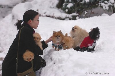 Feb2_08_489.JPG
