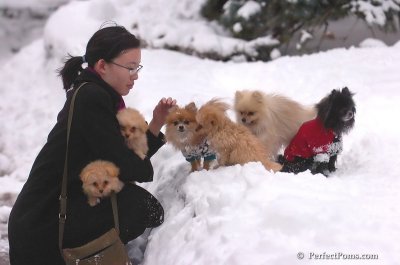 Feb2_08_490.JPG
