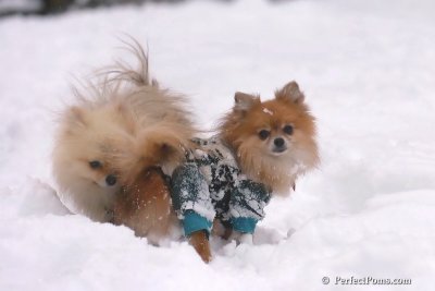 Feb2_08_492.jpg