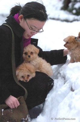 Feb2_08_494.JPG