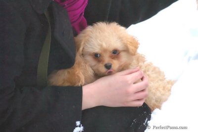 Feb2_08_500.jpg