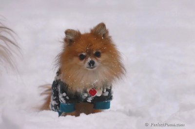 Feb2_08_506.JPG