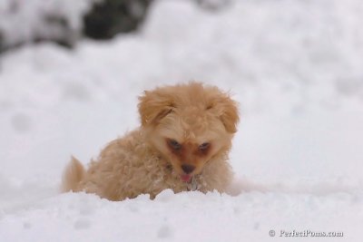 Feb2_08_207.jpg
