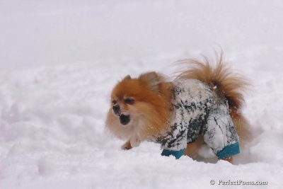 Feb2_08_254.jpg