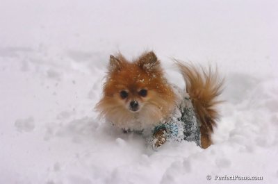 Feb2_08_045.JPG